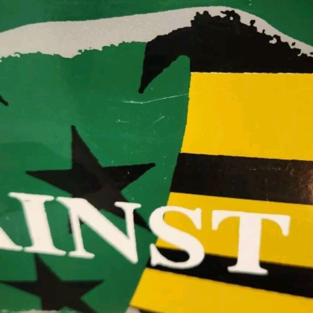 Vtg 90s Volcom Youth Against Establishment Skateboard Deck RARE - Picture 8 of 16